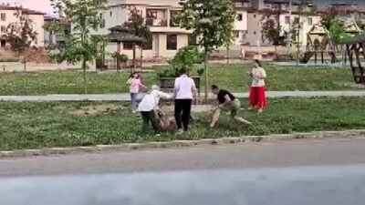Denizli’de bir parkta gerçekleşen ve küçük bir köpeğe saldıran diğer