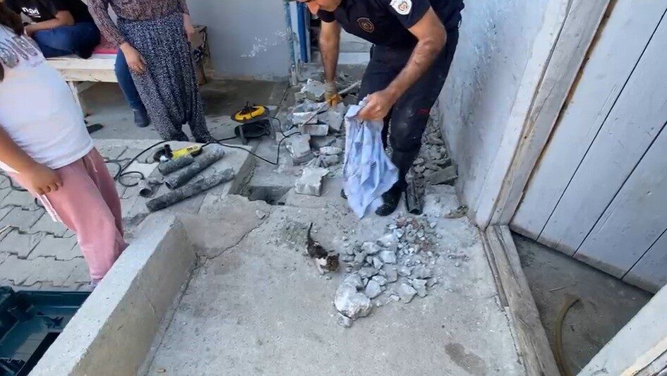 Malatya’nın Yeşilyurt ilçesinde bir bahçede sıkışan yavru kedinin, itfaiye ekiplerinin
