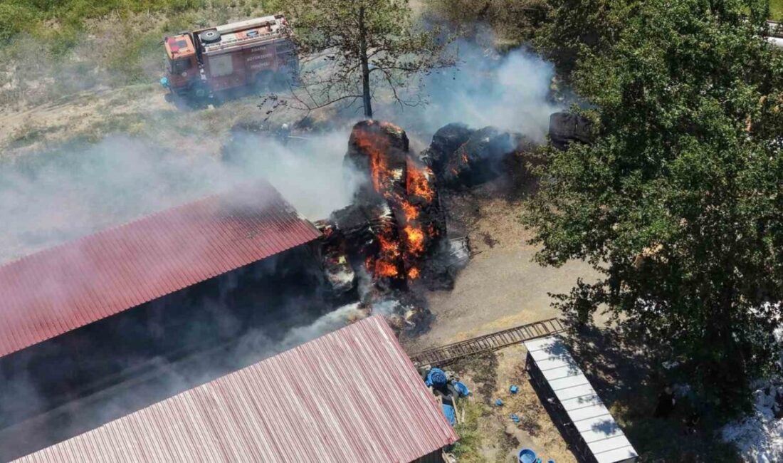Pozantı ilçesinde bir hayvan çiftliğinde çıkan yangın, Adana itfaiye ekipleri