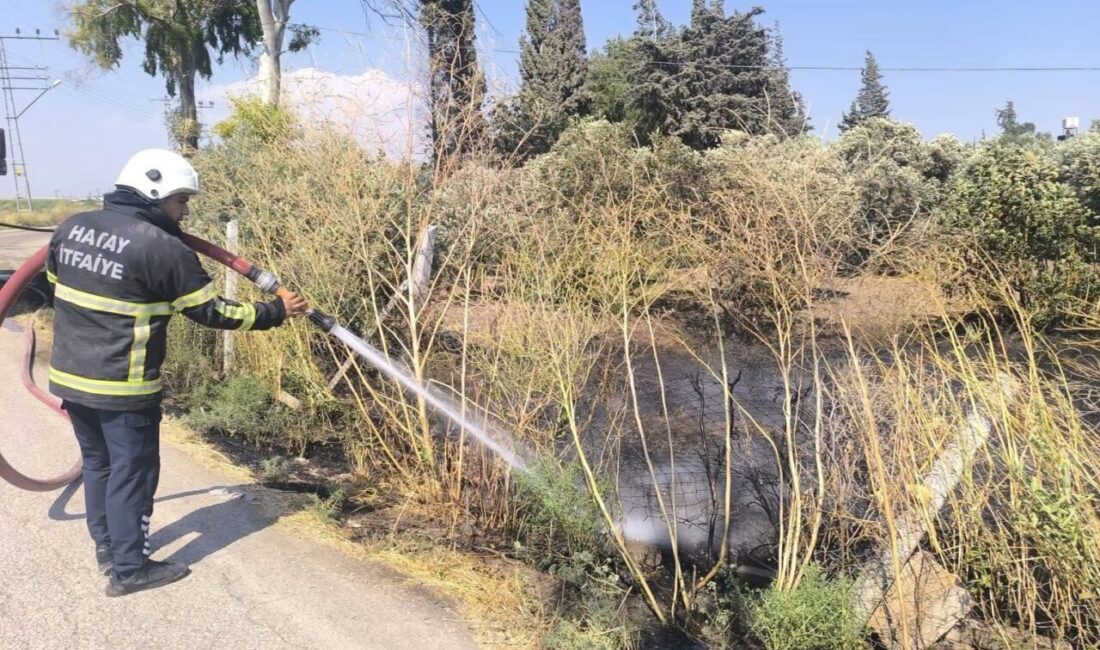 Reyhanlı ilçesinde çıkan bir yangın, Hatay Büyükşehir Belediyesi itfaiye ekiplerinin