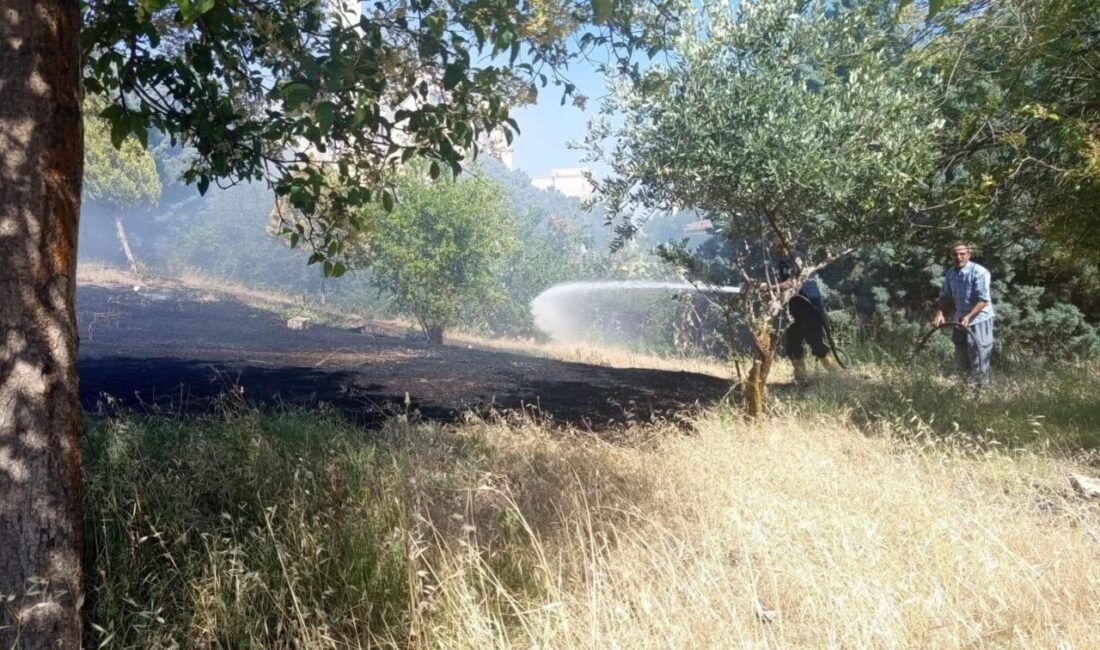 Hatay’ın Reyhanlı ilçesinde zeytinlik alanda başlayan yangın, itfaiye ekiplerinin hızlı