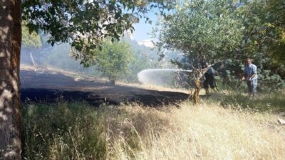 Hatay’ın Reyhanlı ilçesinde zeytinlik alanda başlayan yangın, itfaiye ekiplerinin hızlı