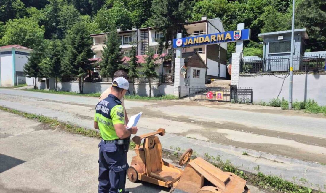 Rize’nin Çamlıhemşin ilçesine bağlı olan Ayder Yaylası’nda tamamen ahşaptan üretilen