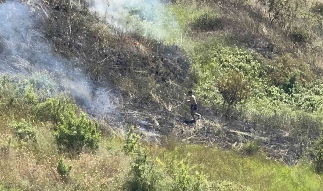 Darıca ilçesindeki otluk alanda çıkan yangın, itfaiye ekipleri ile plajdaki