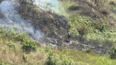 Darıca ilçesindeki otluk alanda çıkan yangın, itfaiye ekipleri ile plajdaki