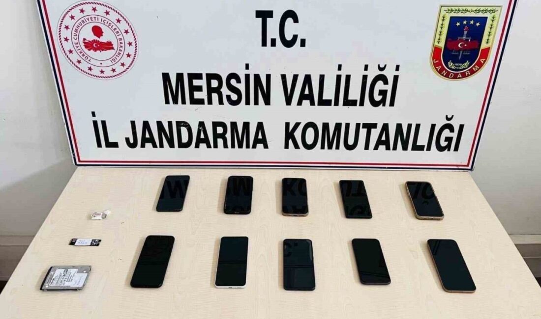 Mersin’de jandarma ekiplerinin yürüttüğü operasyon sonucunda sosyal medya üzerinden sahte