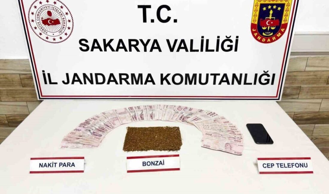 Sakarya’da jandarma ekiplerinin uyuşturucu satıcılarına yönelik düzenlediği operasyonlarda, Adapazarı, Karasu