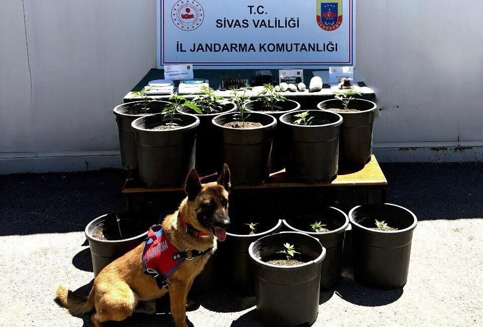 Sivas İl Jandarma Komutanlığı tarafından yürütülen operasyonlar sonucunda uyuşturucu ticaretine