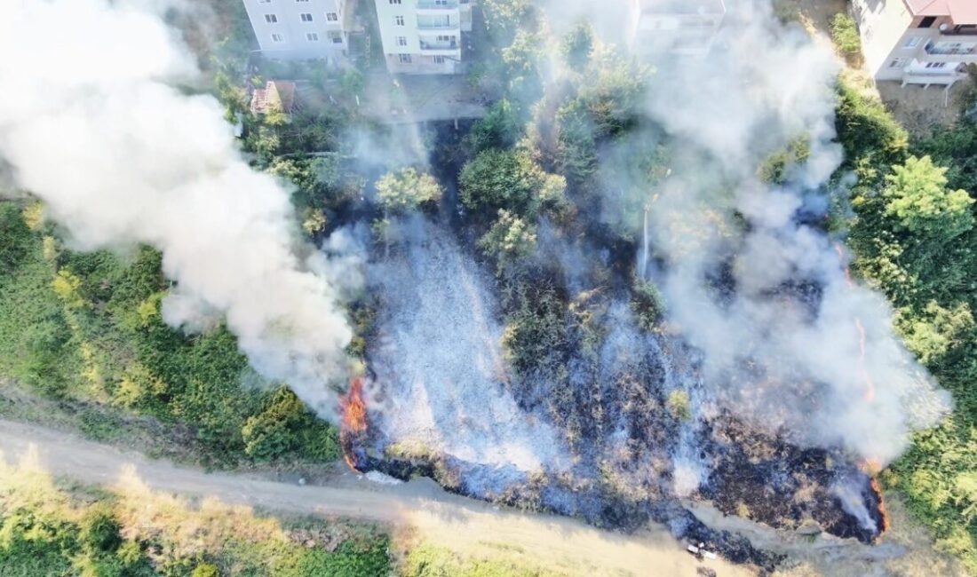 Samsun’un Canik ilçesinde, Hasköy Mahallesi’nde bulunan bir tarlada meydana gelen