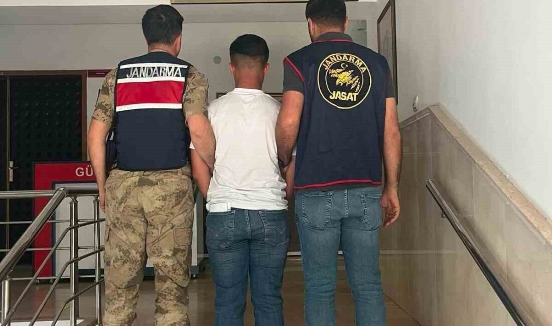 JASAT ve jandarma ekipleri işbirliğiyle Şanlıurfa’nın Karaköprü ilçesinde kaçak olarak