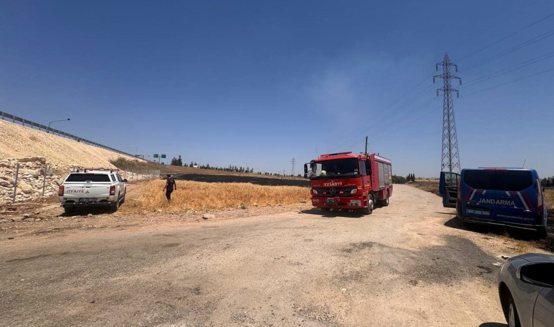 Şanlıurfa’da 14 şüpheli, anız yakmak ve güvenlik güçlerinin müdahalesini engellemekle