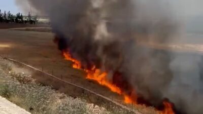 Şanlıurfa’nın Suruç ilçesinde bulunan bir arpa tarlasında meydana gelen yangında