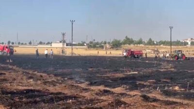 Şanlıurfa’nın Viranşehir ilçesinde meydana gelen yangında yaklaşık 60 dönüm büyük