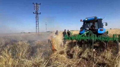 Şanlıurfa’nın Viranşehir ilçesinde bir çiftçinin büyük emeklerle ektiği arpa tarlası,
