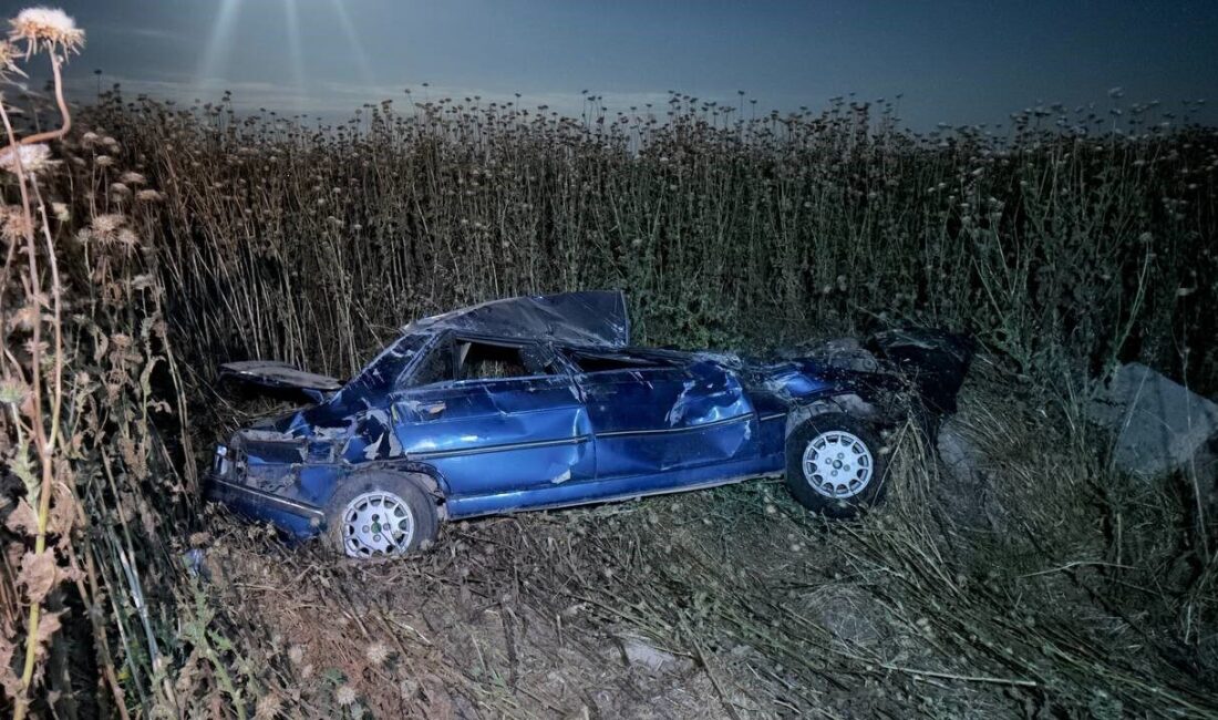 Şanlıurfa’nın Ceylanpınar ilçesinde bir otomobilin şarampole devrilmesi sonucu 4 kişi