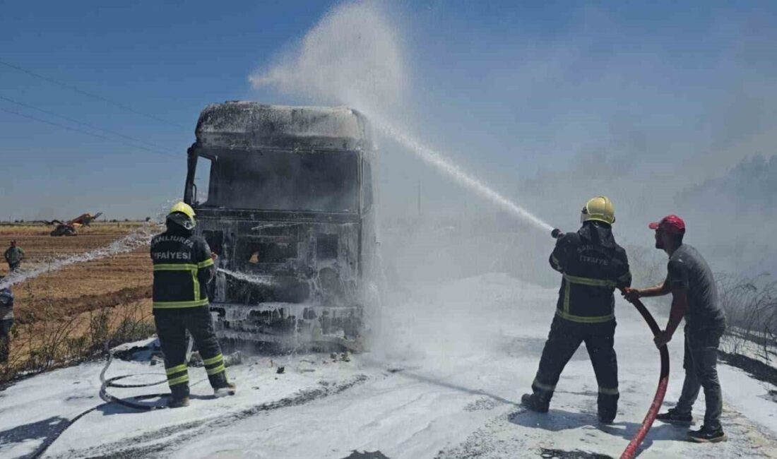 Eyyübiye ilçesinde, Yardımcı Mahallesi’nde park halindeki saman yüklü bir tırda