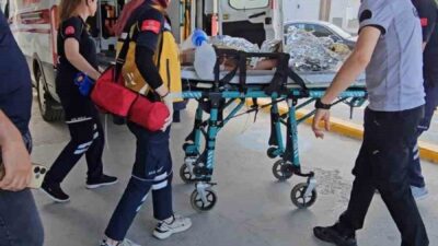 Sapanca ilçesinde bulunan bir bungalov tesiste konaklayan 5 yaşındaki bir