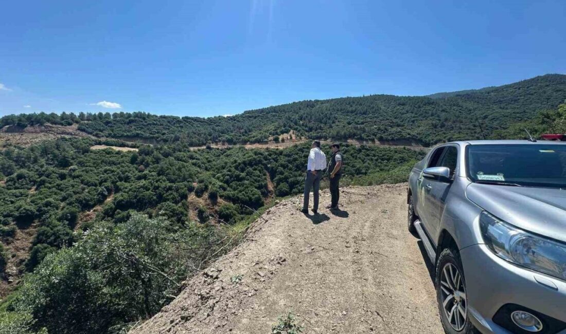Sarıgöl Kaymakamı Halil Dalak, Baharlar Mahallesi’ndeki ormanlık alanlar ve orman