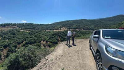 Sarıgöl Kaymakamı Halil Dalak, Baharlar Mahallesi’ndeki ormanlık alanlar ve orman