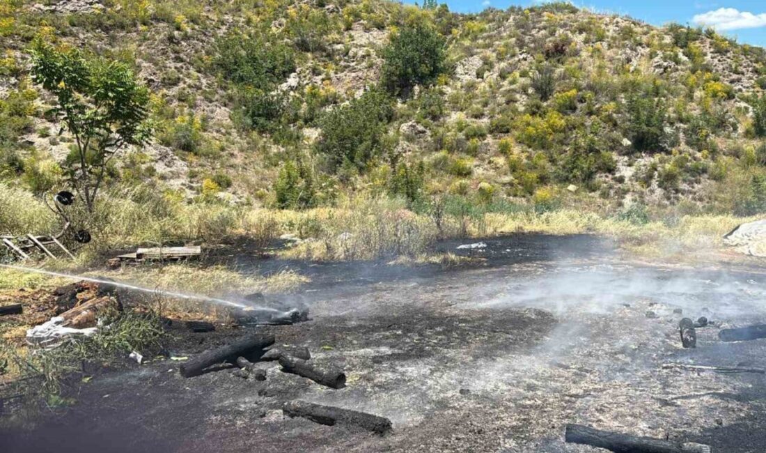 Bilecik’te meydana gelen yangın, Söğüt ilçesine bağlı Çaltı Köyü’ndeki seralık