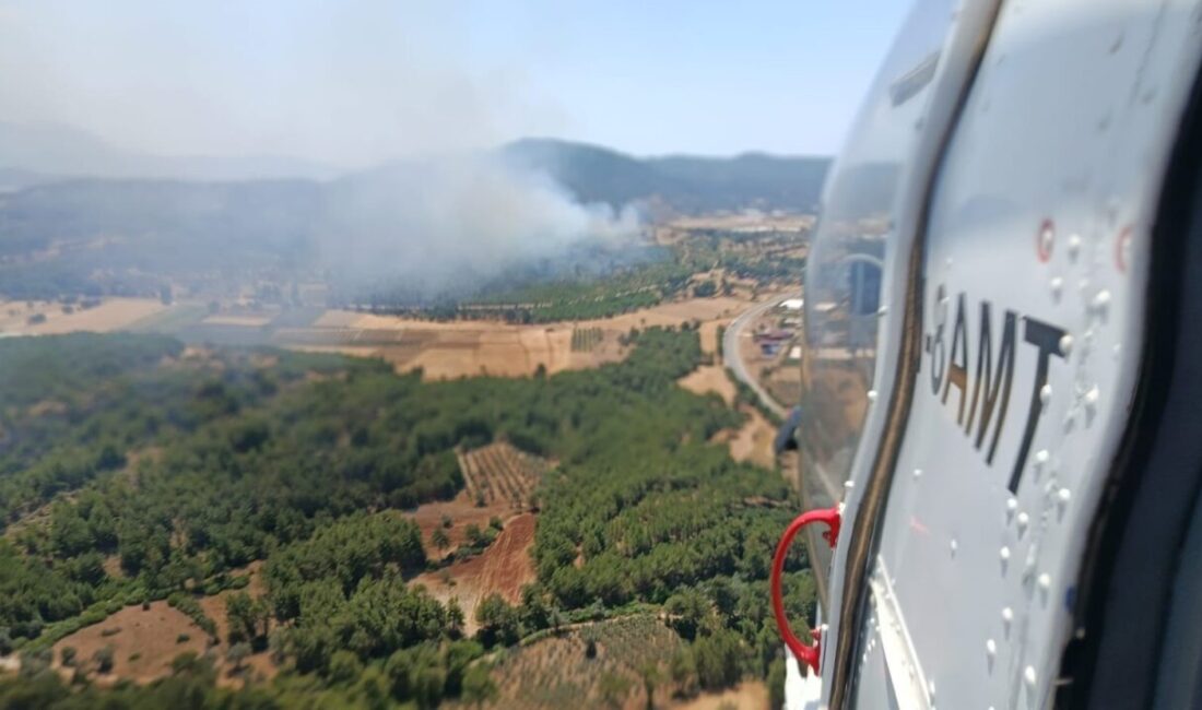 Muğla’nın Seydikemer ilçesinde çıkan orman yangınına hem havadan hem de