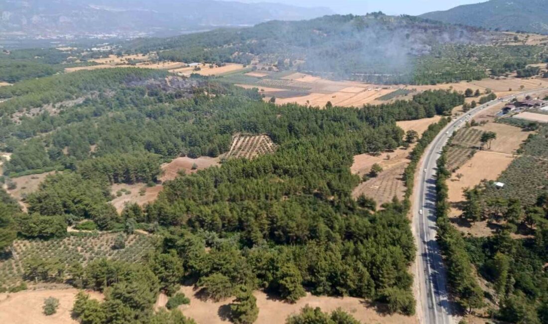 Muğla’nın Seydikemer ilçesinde tarım arazisinde başlayan ve ormanlık alana yayılan
