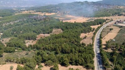 Muğla’nın Seydikemer ilçesinde tarım arazisinde başlayan ve ormanlık alana yayılan