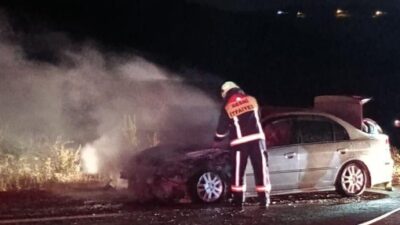 Besni ilçesinde seyir halindeyken çıkan yangın sonucunda bir otomobil kullanılamaz