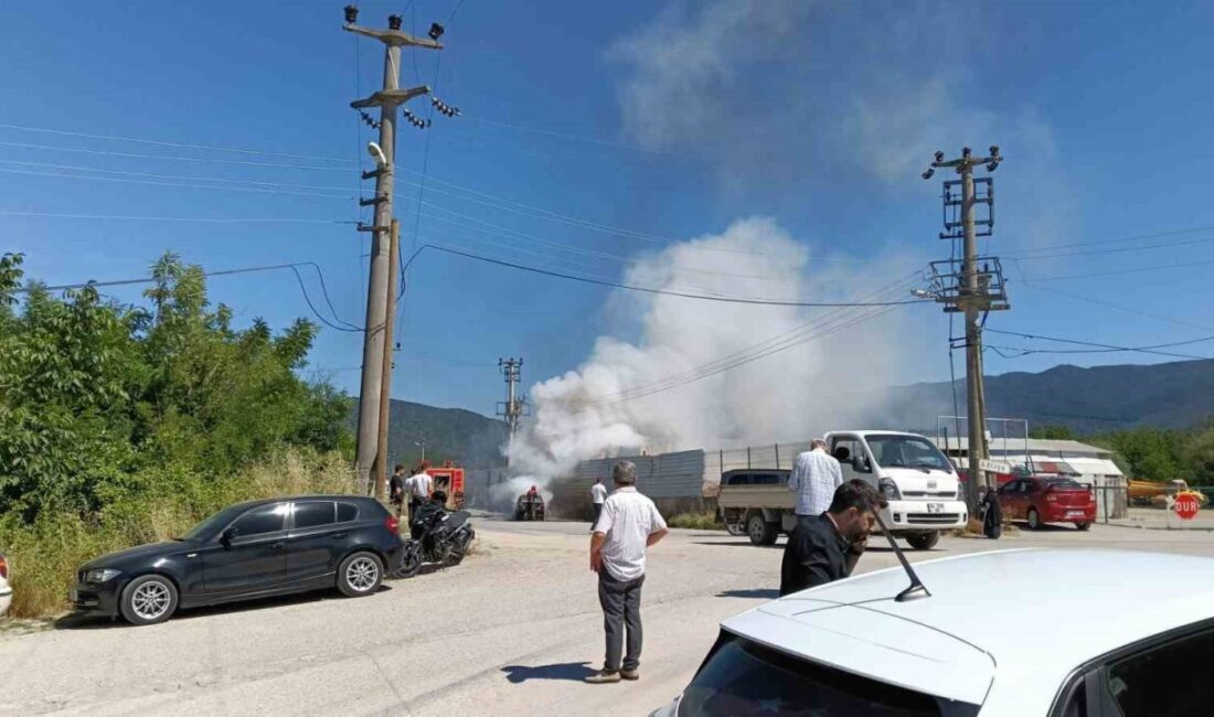 Sakarya’da seyir halindeyken yangın çıkan bir araç kullanılamaz hale geldi.
