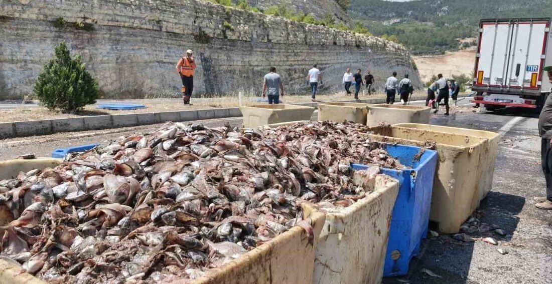 Mersin’in Silifke ilçesinde, balık atığı taşıyan bir tırın dorsesinin patlaması