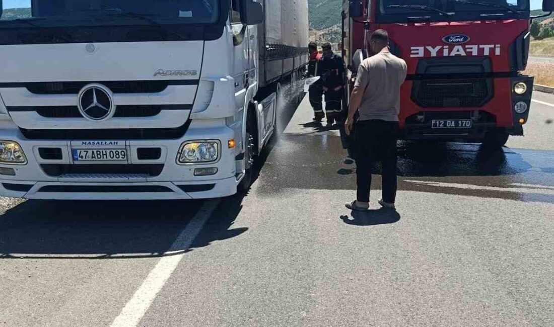 Bingöl’ün Genç ilçesinde seyir halindeki bir tırın lastiklerinde çıkan yangın,