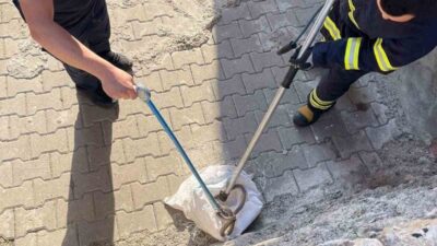 Siirt’in Çal Mahallesi’nde, yaklaşık 1,5 metre uzunluğundaki bir yılan, bir