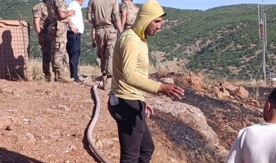 Baykan ilçesine bağlı Çukurca köyü yakınlarında meydana gelen yangın, ekipler