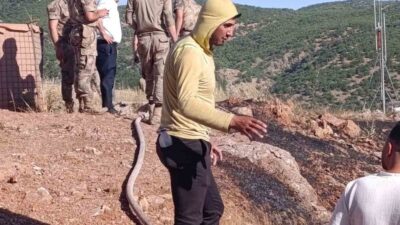 Baykan ilçesine bağlı Çukurca köyü yakınlarında meydana gelen yangın, ekipler
