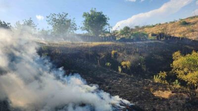 Siirt’te meydana gelen yangın, itfaiye ekiplerinin müdahalesi sonucu kontrol altına