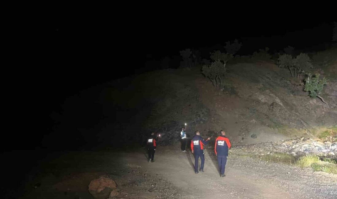Şirvan ilçesinde kaybolan bir çoban için arama kurtarma operasyonu başlatıldı.