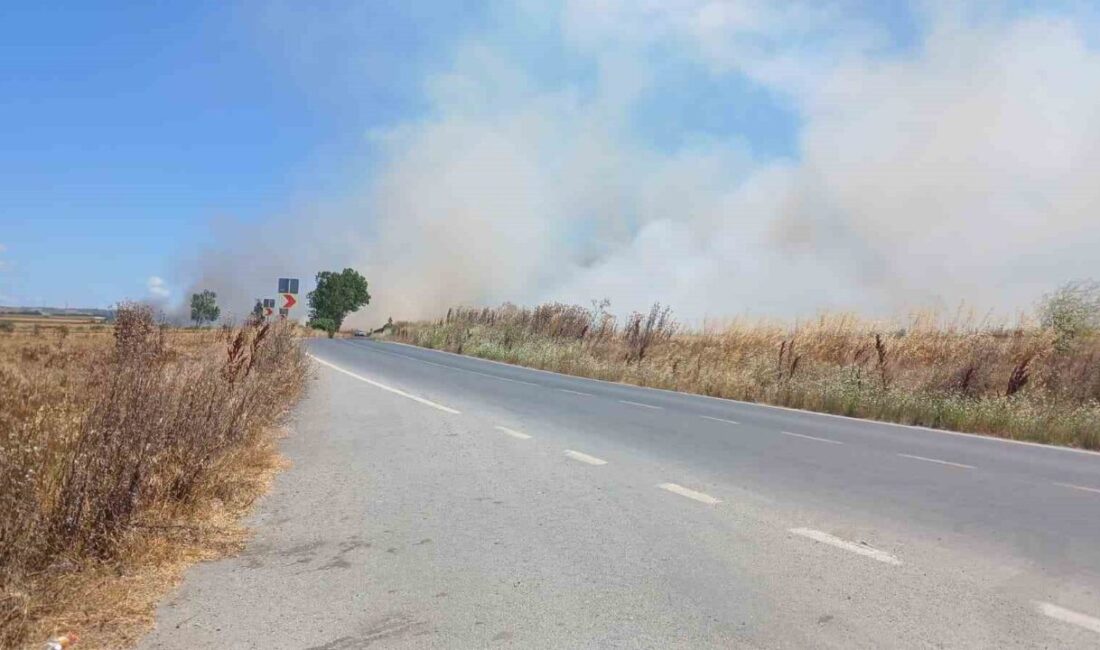 Silivri ilçesinde bir tarlada çıkan yangın, rüzgarın etkisiyle hızla yayılarak