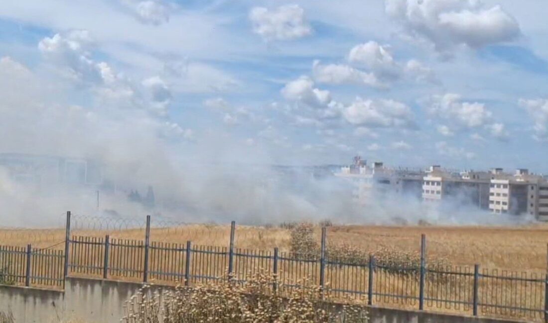 İstanbul’un Silivri ilçesinde, otluk alanda çıkan yangın kontrol altına alınmaya