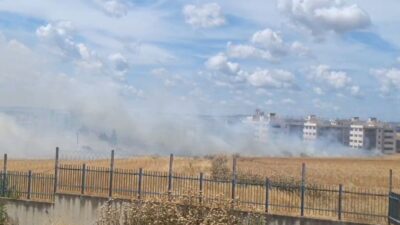 İstanbul’un Silivri ilçesinde, otluk alanda çıkan yangın kontrol altına alınmaya