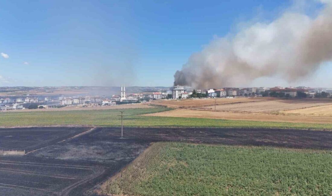 Silivri ilçesinde bir tarlada çıkan yangın, hızla yayılarak geniş bir