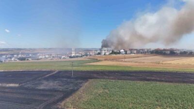 Silivri ilçesinde bir tarlada çıkan yangın, hızla yayılarak geniş bir