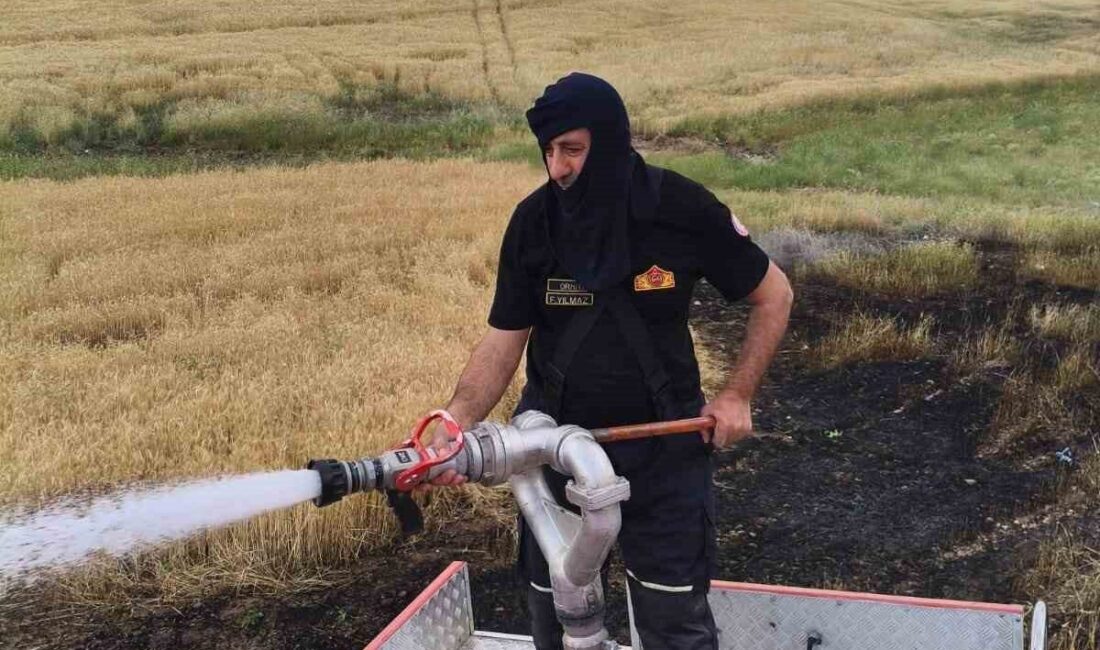 Silvan ilçesinde bulunan Çardak Mahallesi’nde meydana gelen yangın sonucunda, yaklaşık