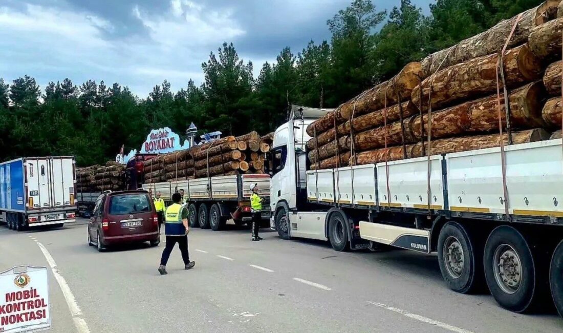 Sinop Orman Bölge Müdürlüğü çalışanları, orman ürünlerinin nakliyesi denetimlerini durmaksızın