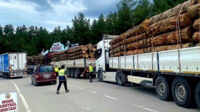Sinop Orman Bölge Müdürlüğü çalışanları, orman ürünlerinin nakliyesi denetimlerini durmaksızın