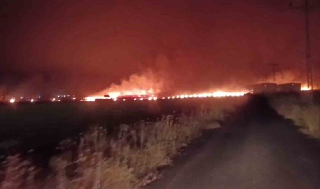Silopi ilçesine bağlı Başverimli beldesi ve tır parkı sahası çevresinde