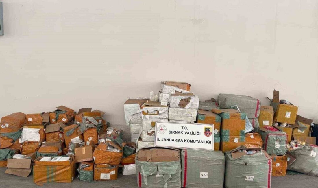 Şırnak ilinde, son bir hafta içerisinde gerçekleştirilen operasyonlarda 77 milyon