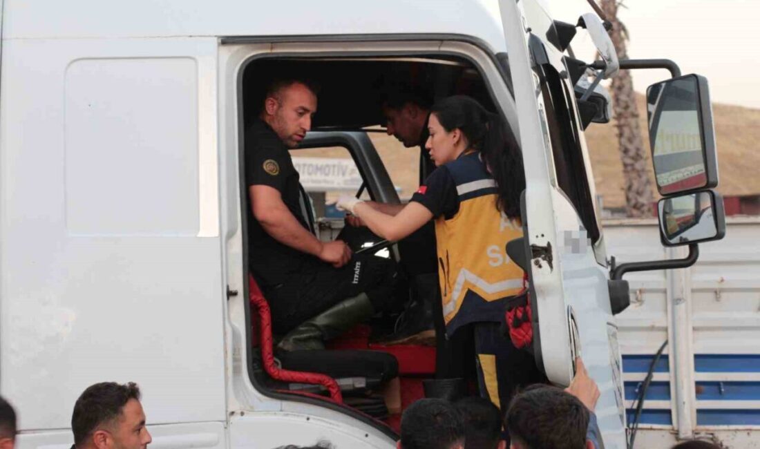 Cizre ilçesinde meydana gelen trafik kazasında iki tırın çarpışması sonucunda