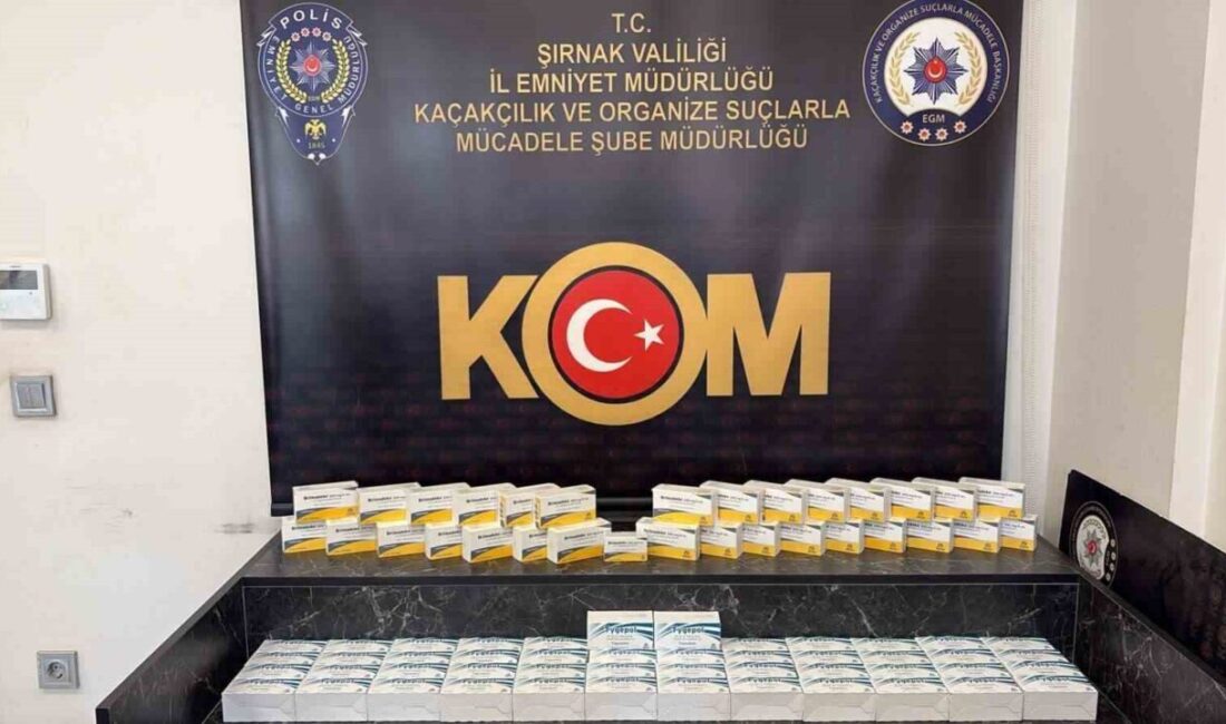 Şırnak’ın Cizre ve Silopi ilçelerinde düzenlenen operasyonlarda, yaklaşık 2 milyon