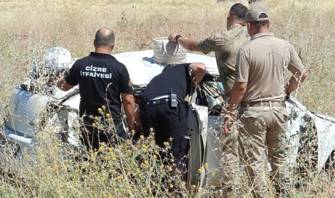 Cizre ilçesinde meydana gelen trafik kazasında, aynı aileden 1’i bebek