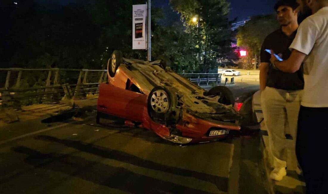 Şişli ilçesinde, alkollü olduğu belirlenen bir sürücü, bir köpeğe çarpmamak
